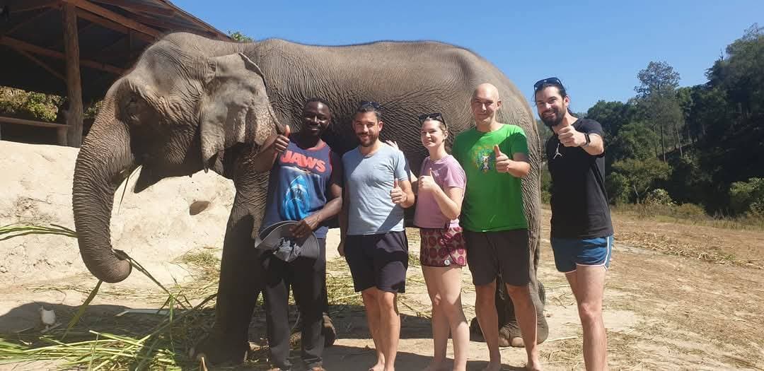 Bee Adventure Tours guides and happy tourists together with elephant