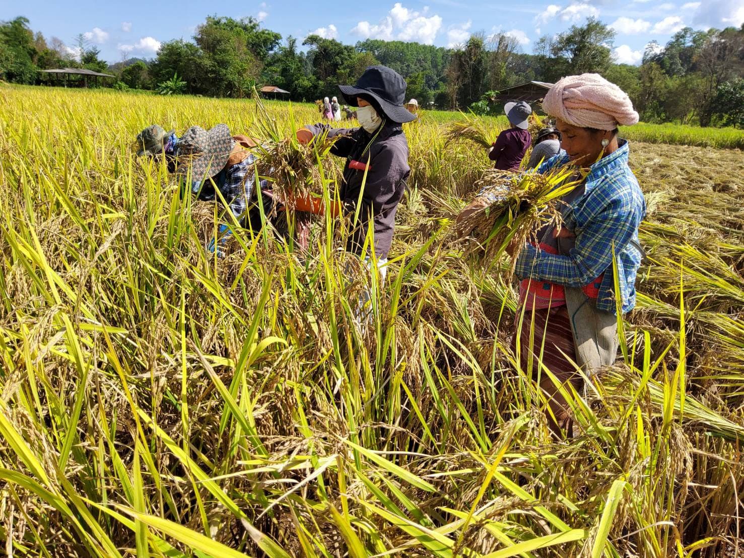 2 Days / 1 Night Trekking + Homestay - Photo 3