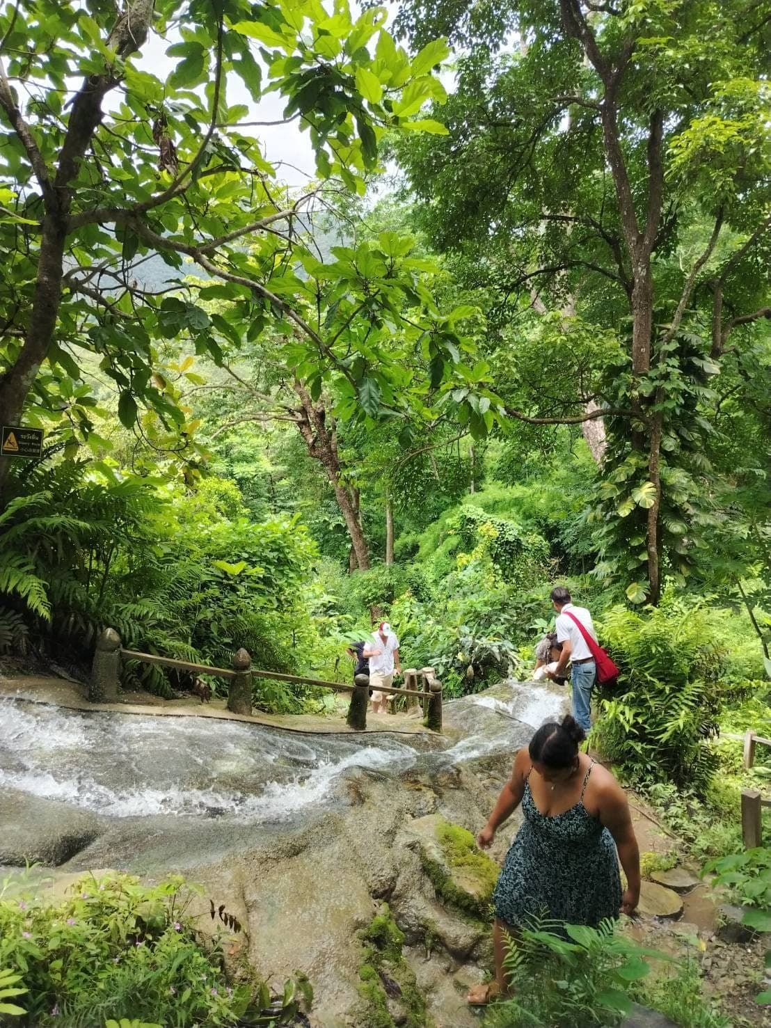 Full Day Sticky Waterfall Tour - Photo 4